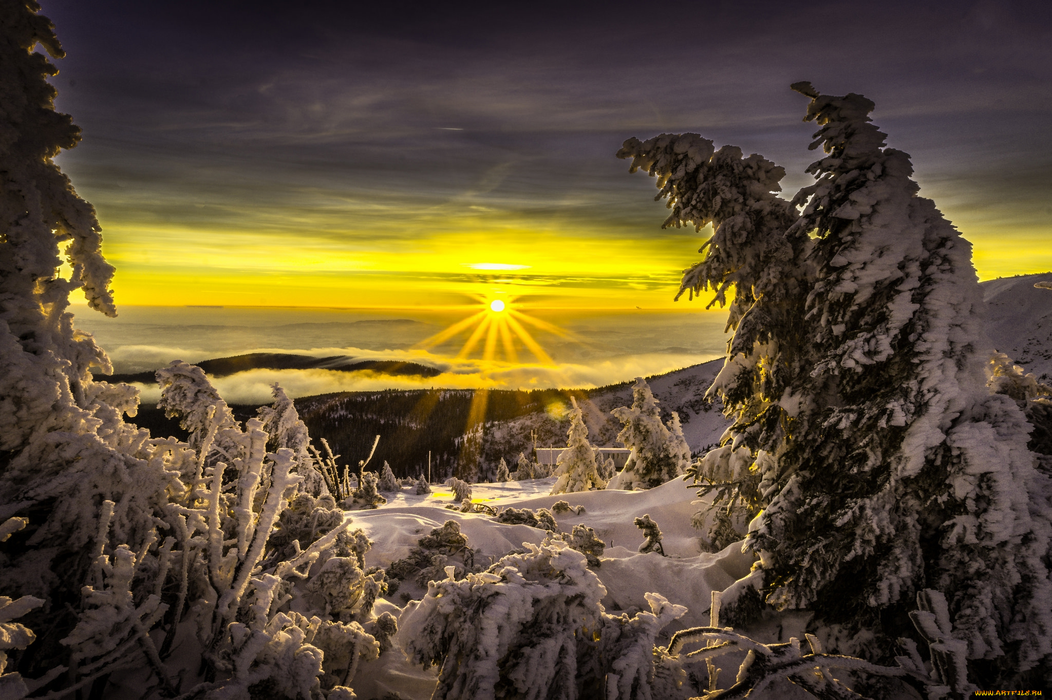 природа, зима, снег