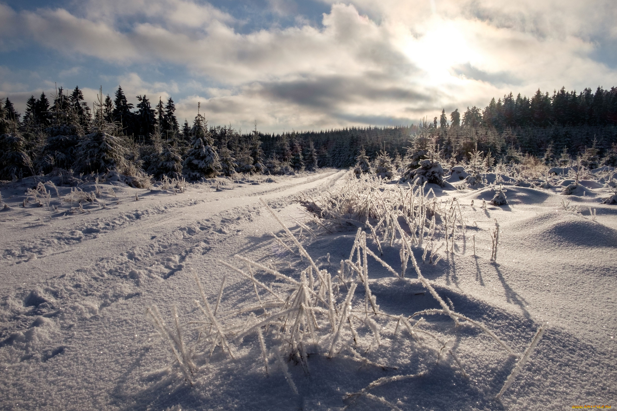 природа, зима, снег