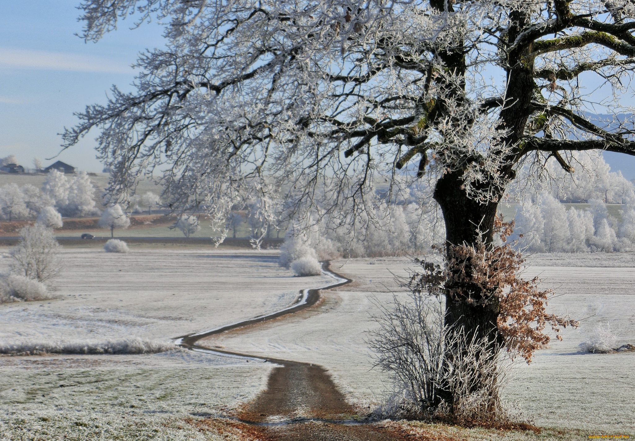 природа, зима, снег