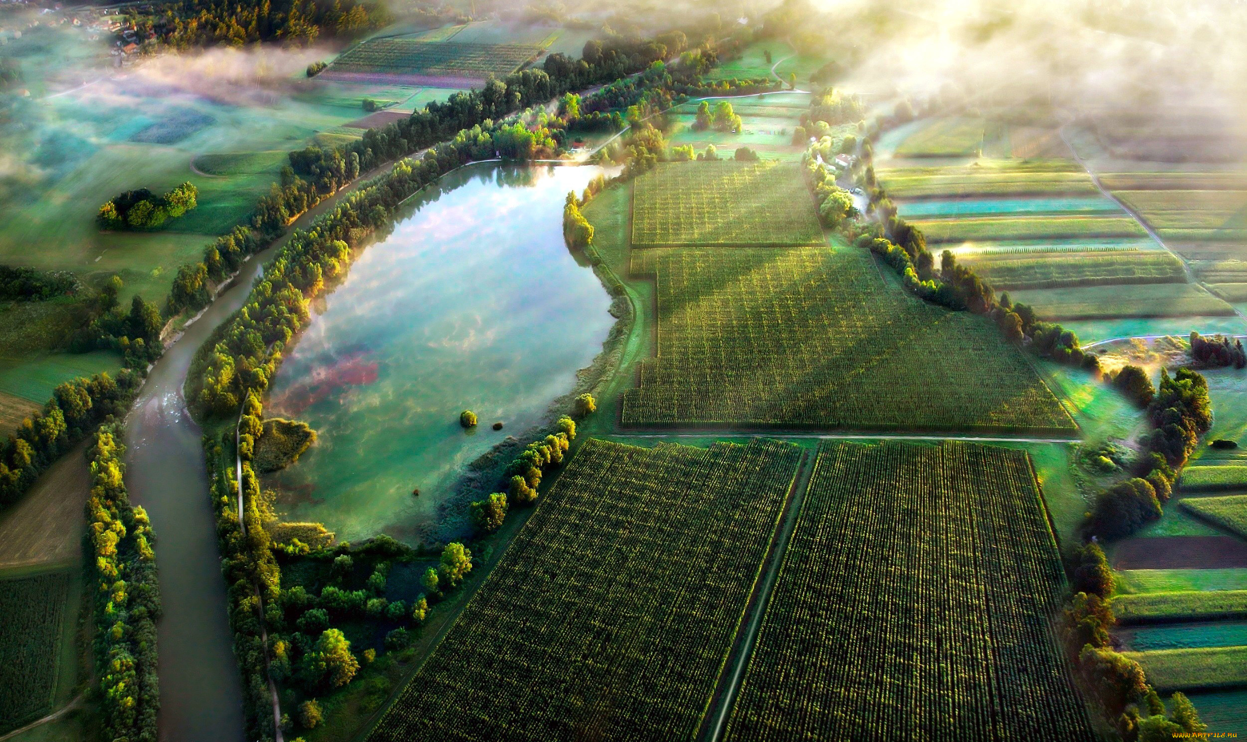 природа, пейзажи, туман, утро, панорама, поля