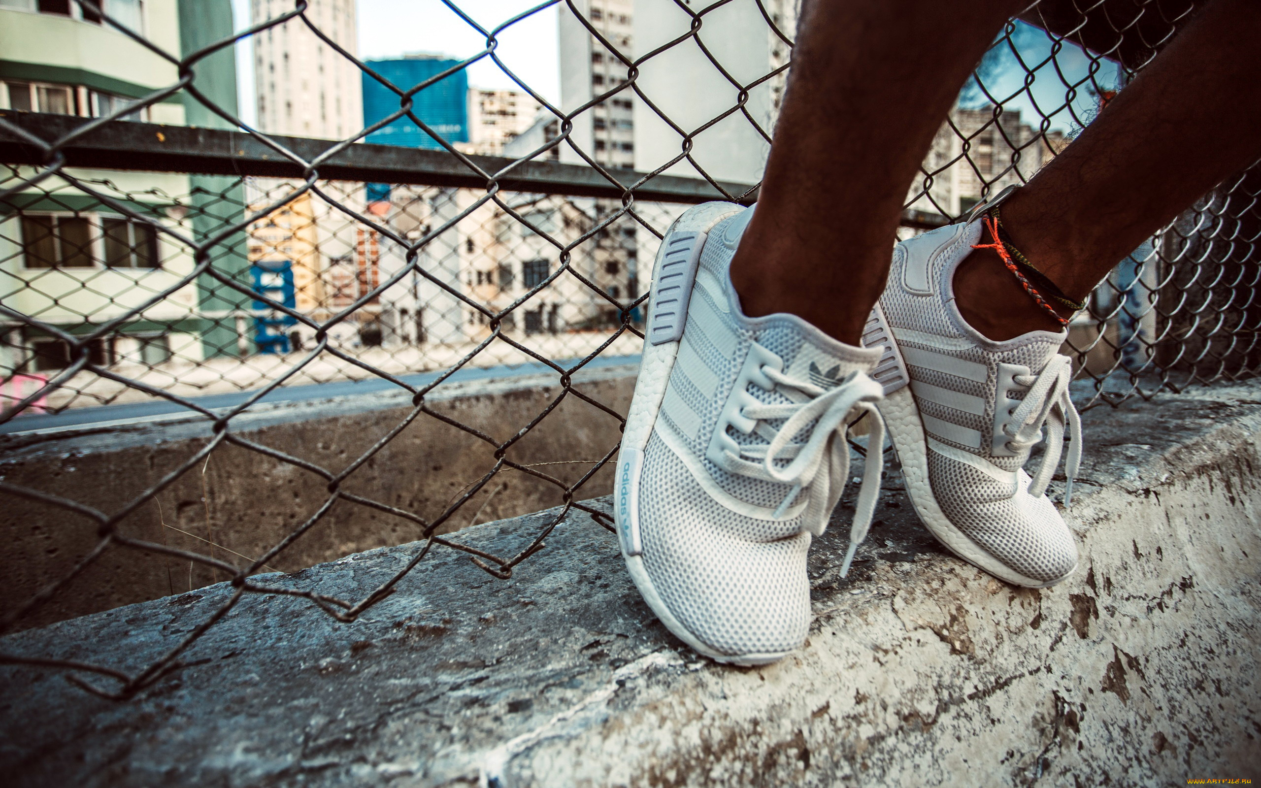 бренды, adidas, кроссовки