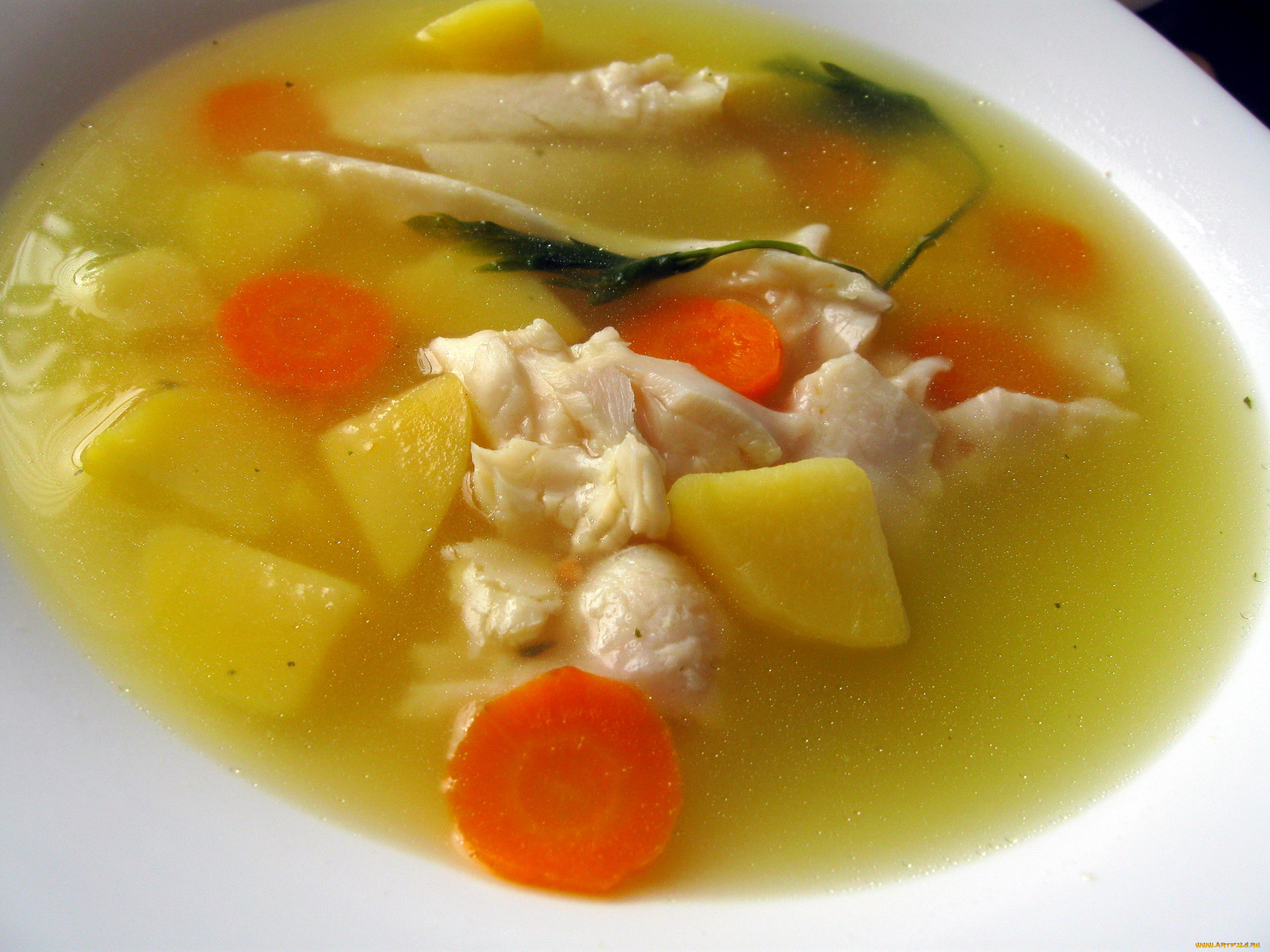 еда, первые, блюда, суп