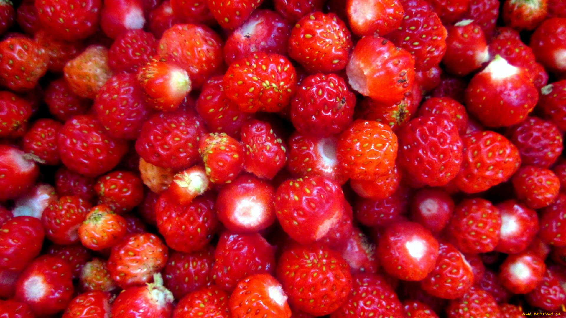 еда, клубника, , земляника, земляника