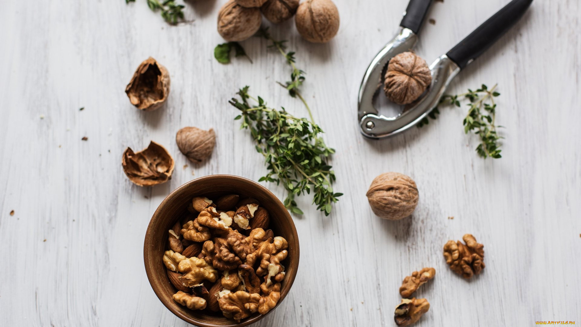 еда, орехи, , каштаны, , какао-бобы, грецкие