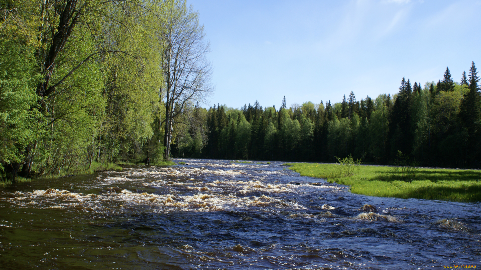 lena, природа, реки, озера, пейзаж, лес, вода, река