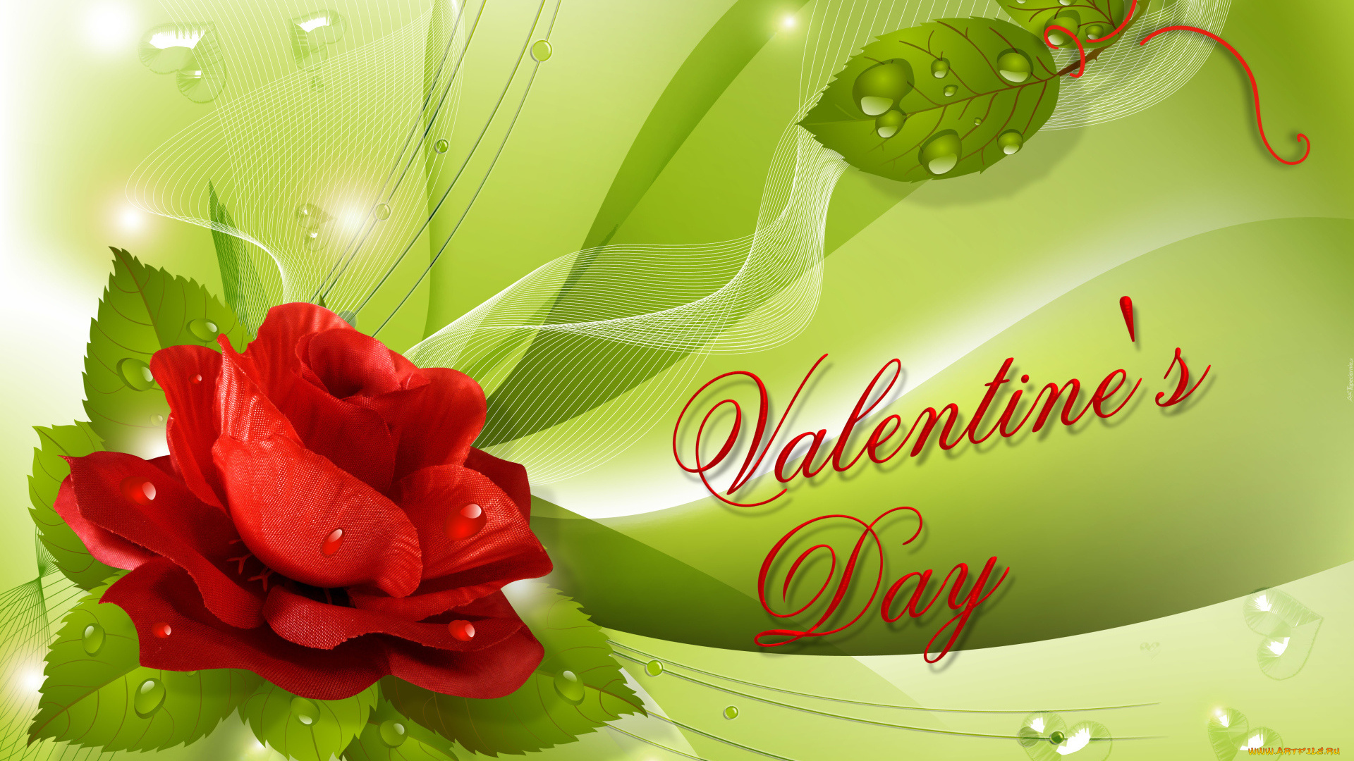 праздничные, день, святого, валентина, , сердечки, , любовь, фон, лепестки, роза