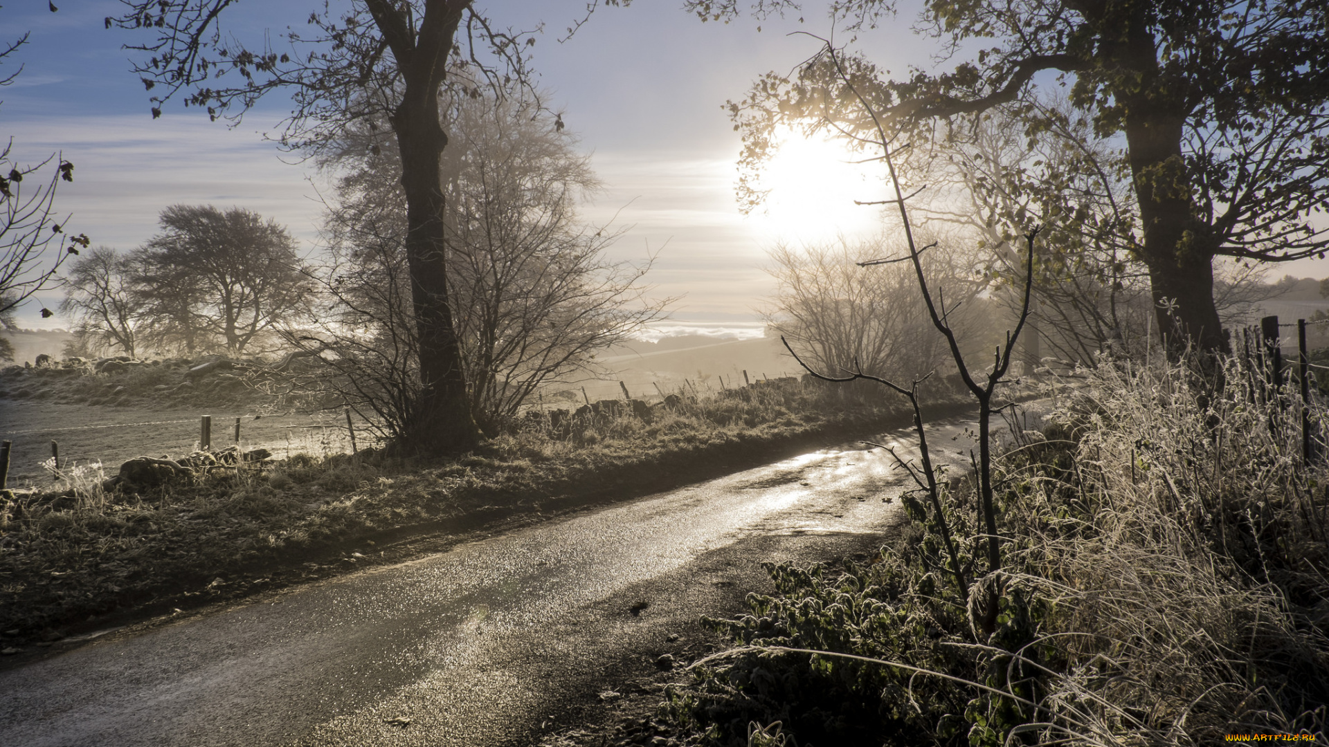 природа, дороги, простор