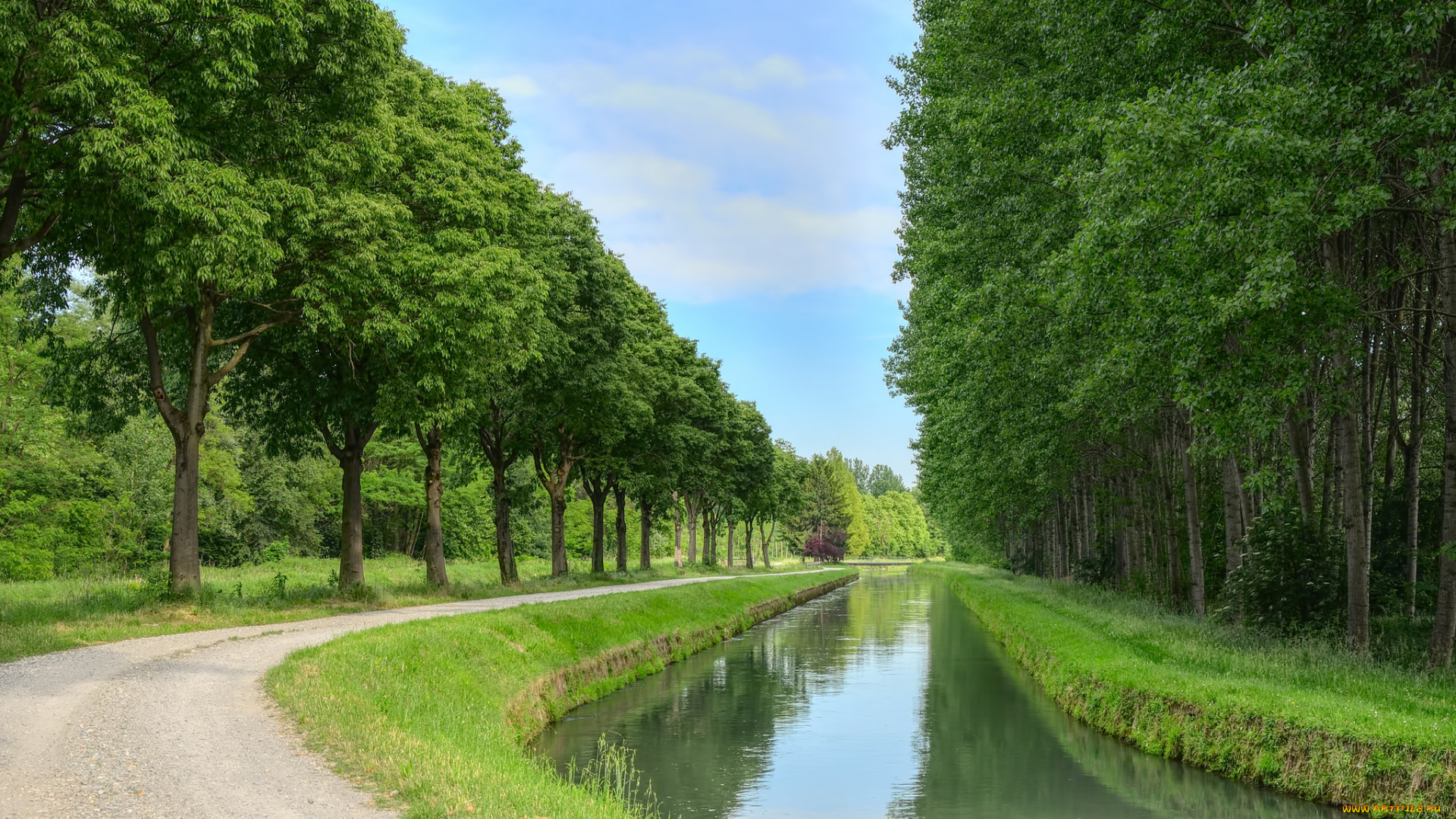 природа, парк, простор