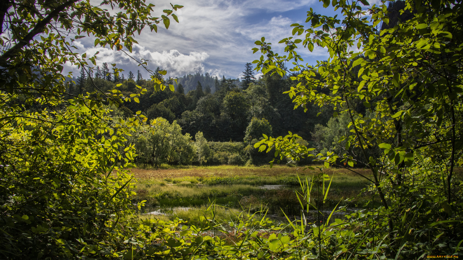 природа, пейзажи, простор