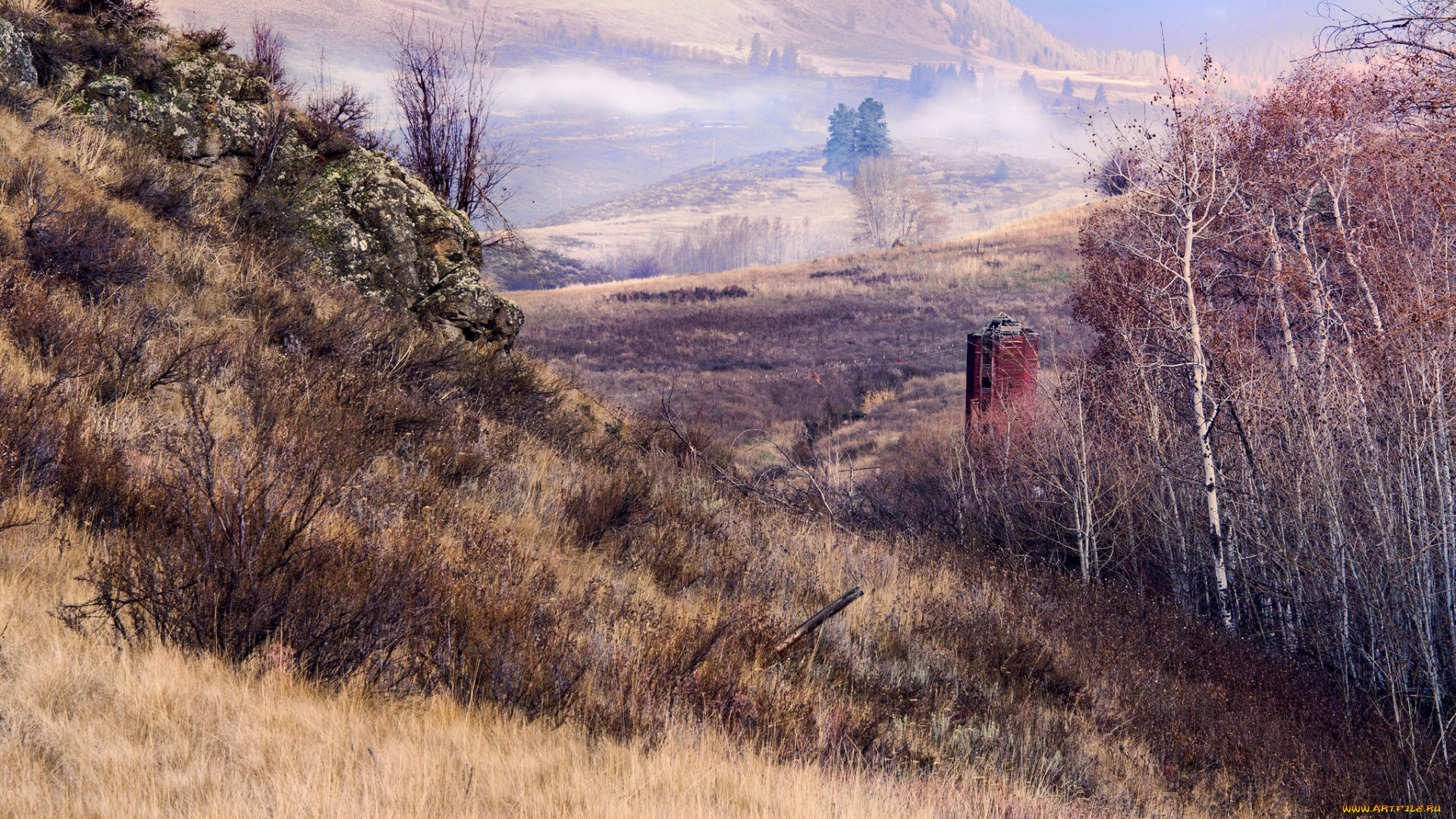 природа, пейзажи, простор