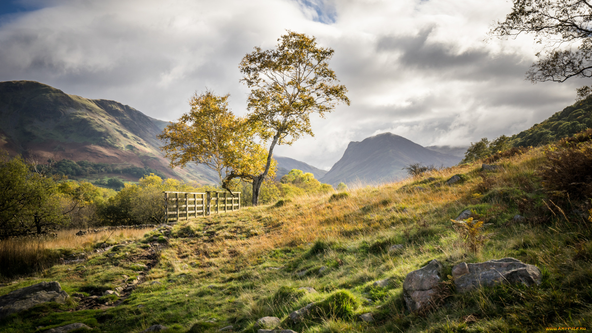природа, пейзажи, простор