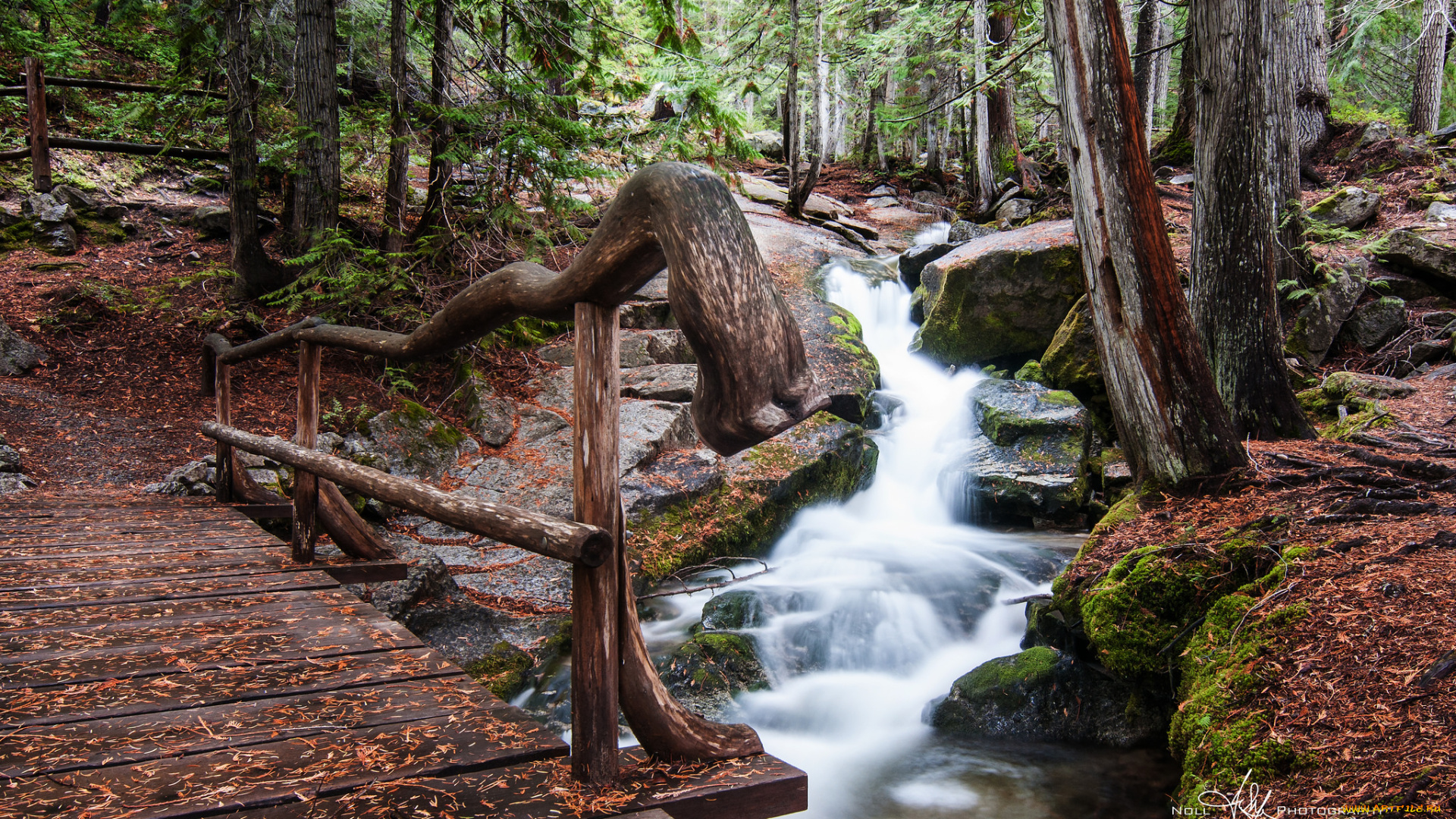 природа, реки, озера, простор