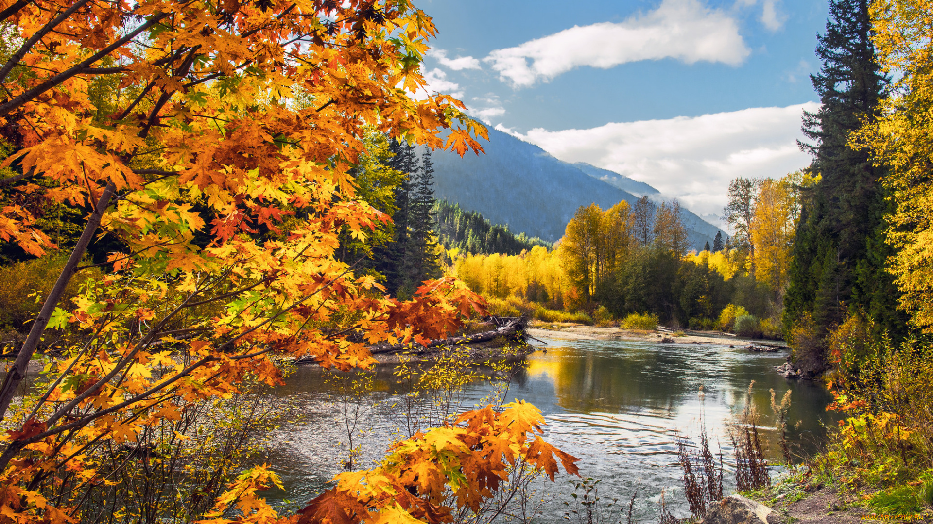 природа, реки, озера, простор