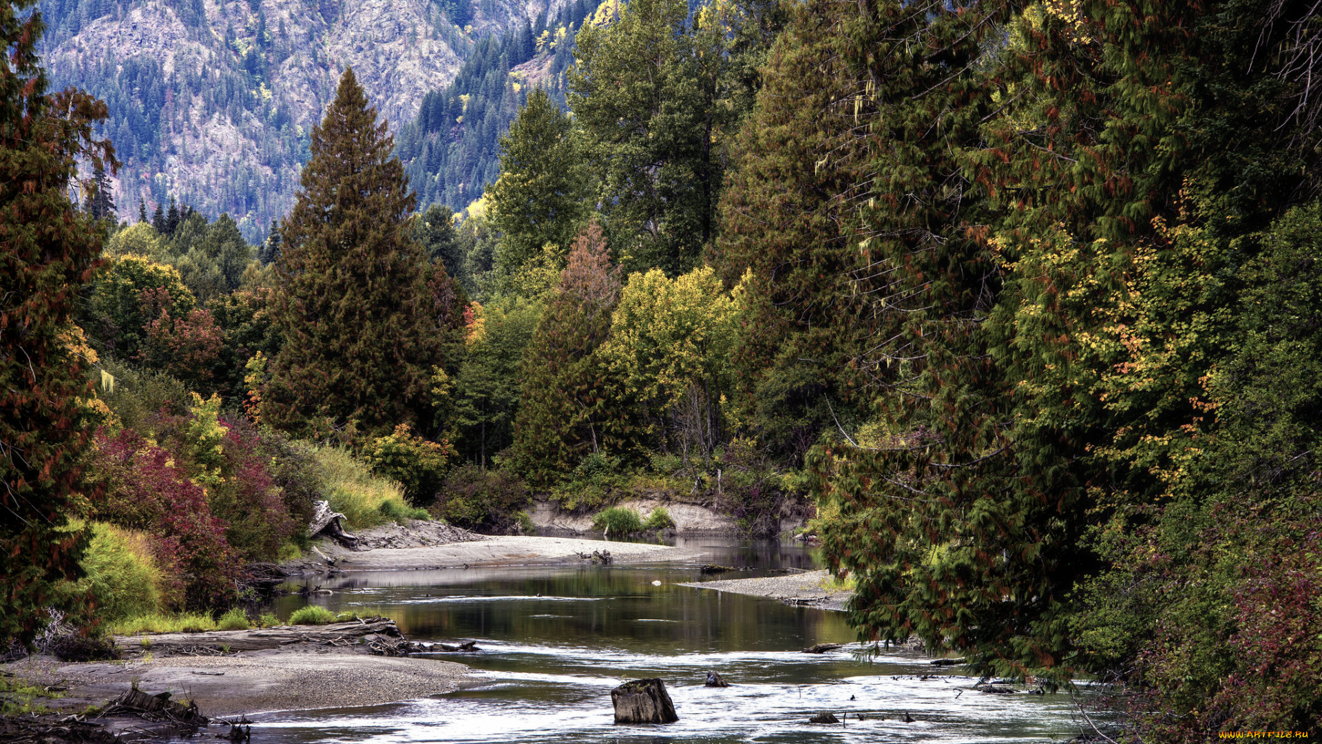 природа, реки, озера, простор