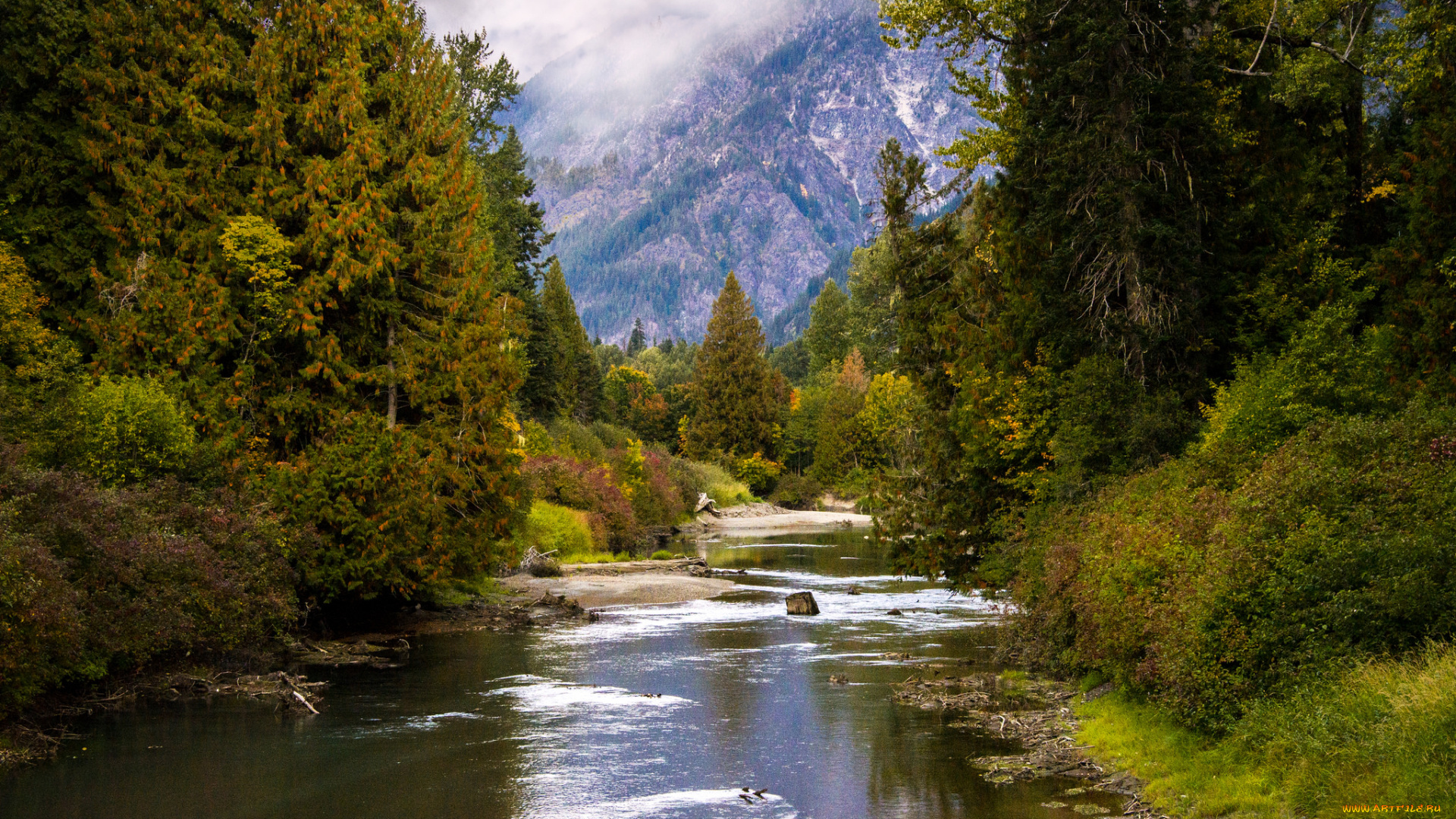 природа, реки, озера, простор