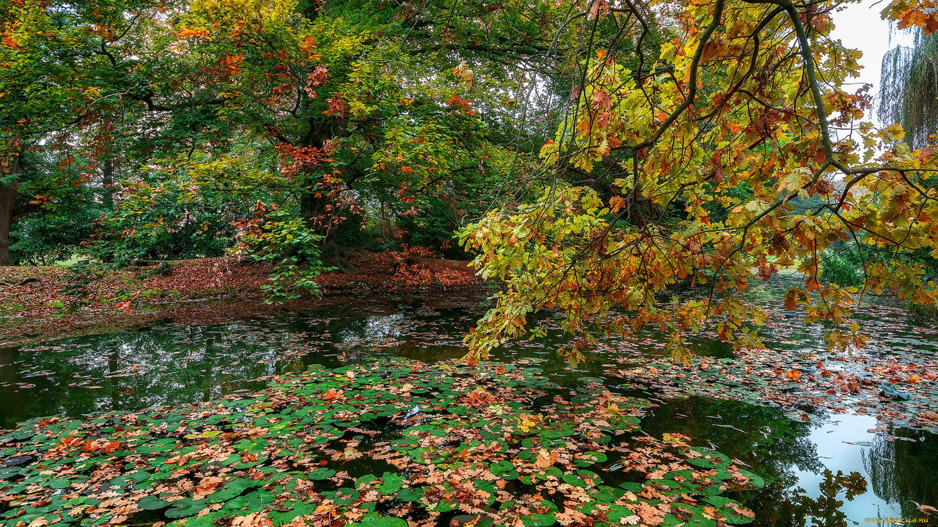 природа, реки, озера, простор