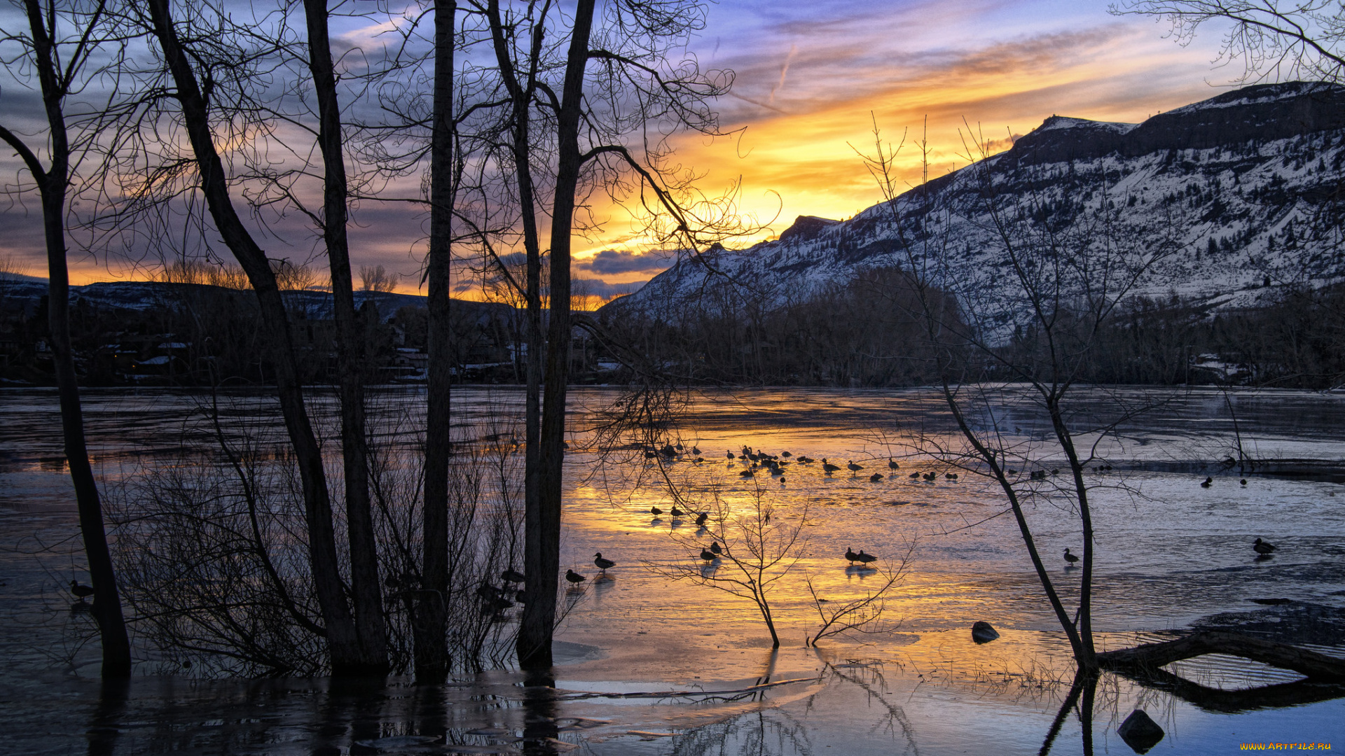 природа, реки, озера, простор