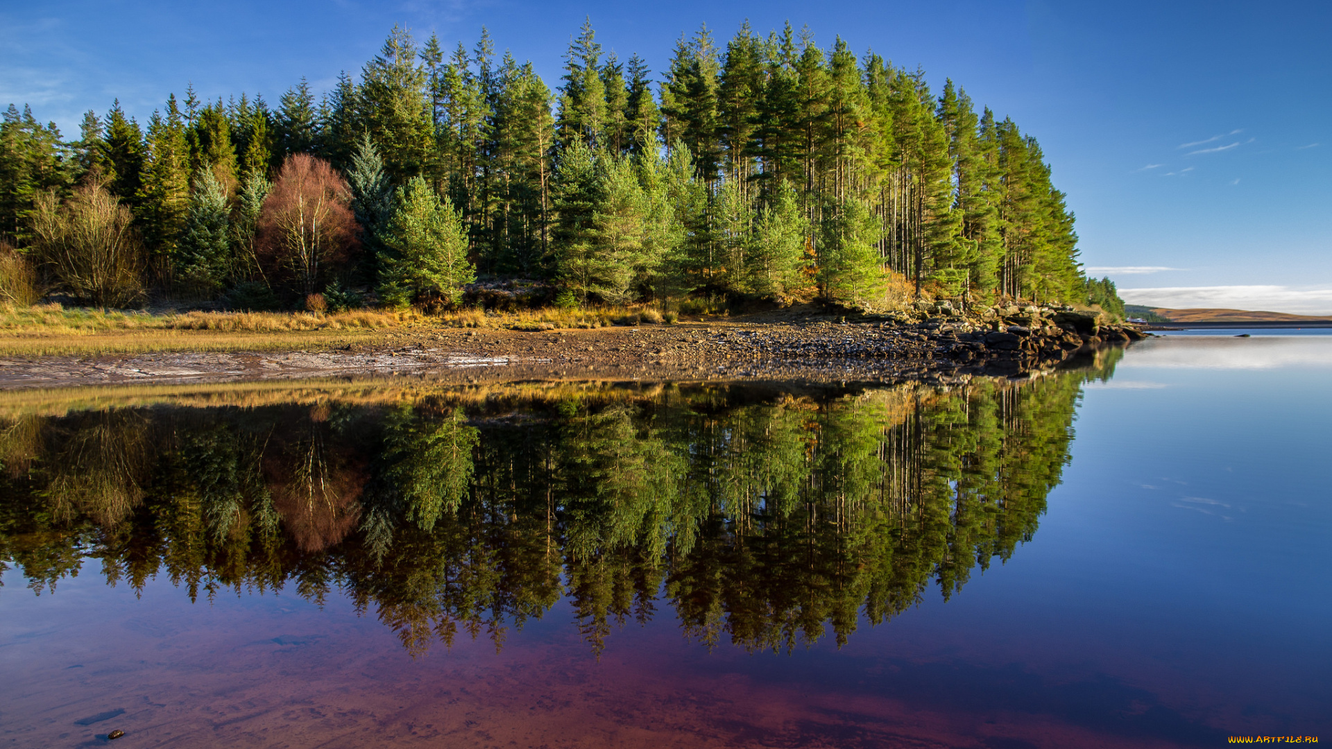 природа, реки, озера, простор