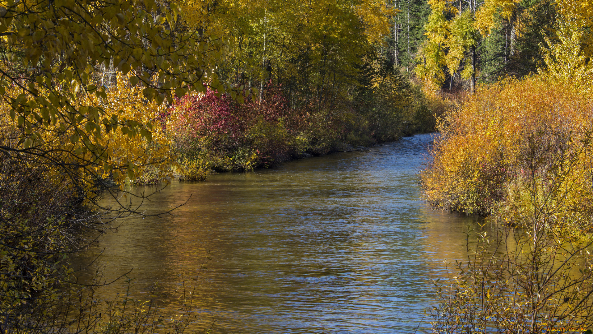 природа, реки, озера, простор
