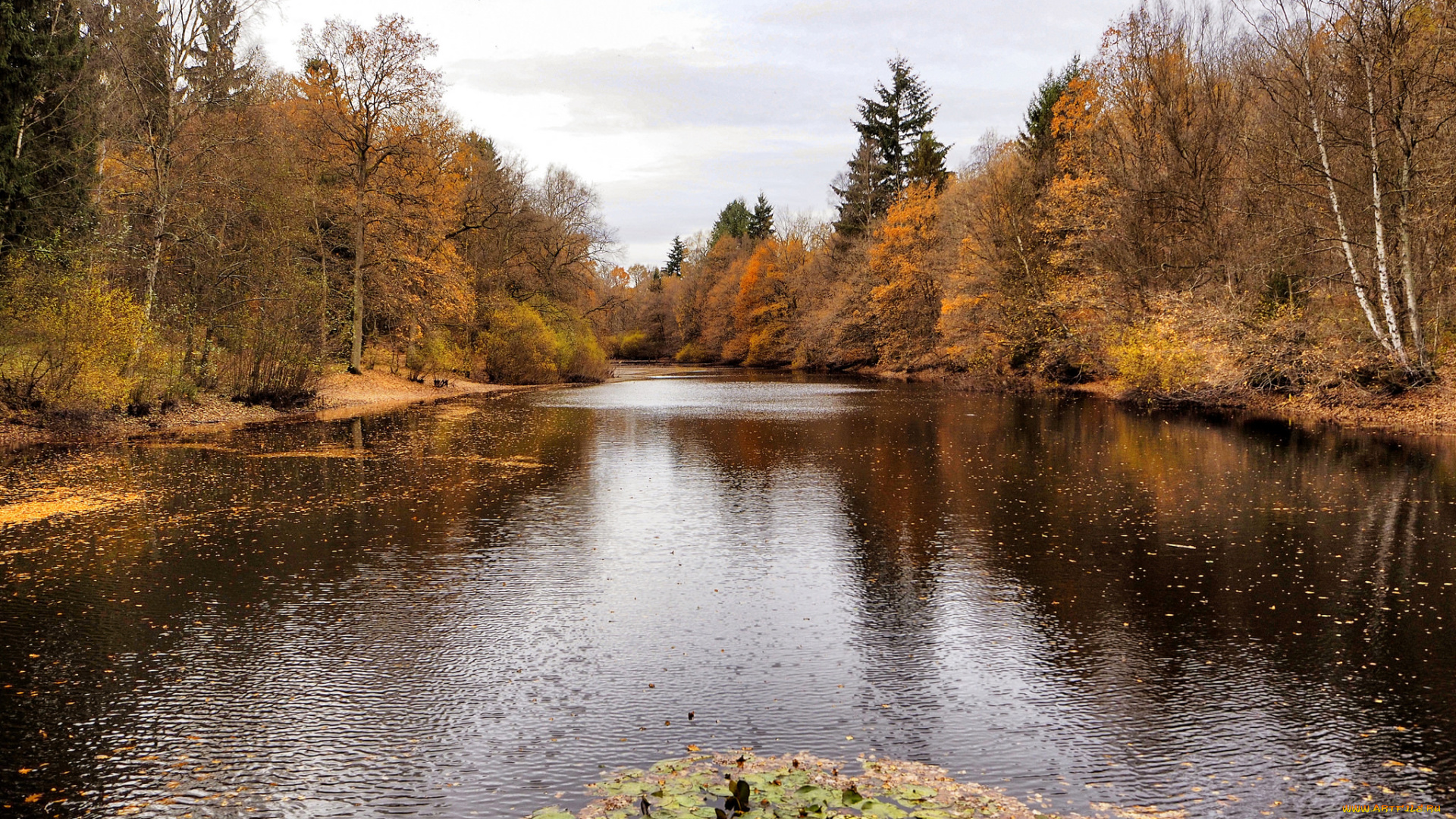 природа, реки, озера, простор