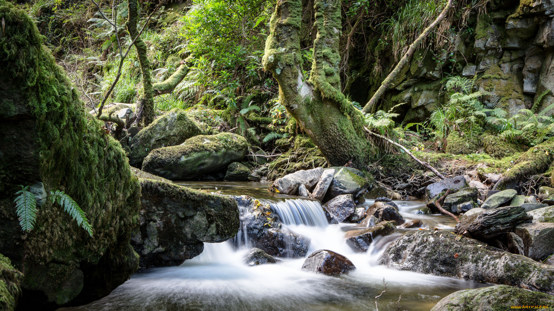 природа, реки, озера, простор
