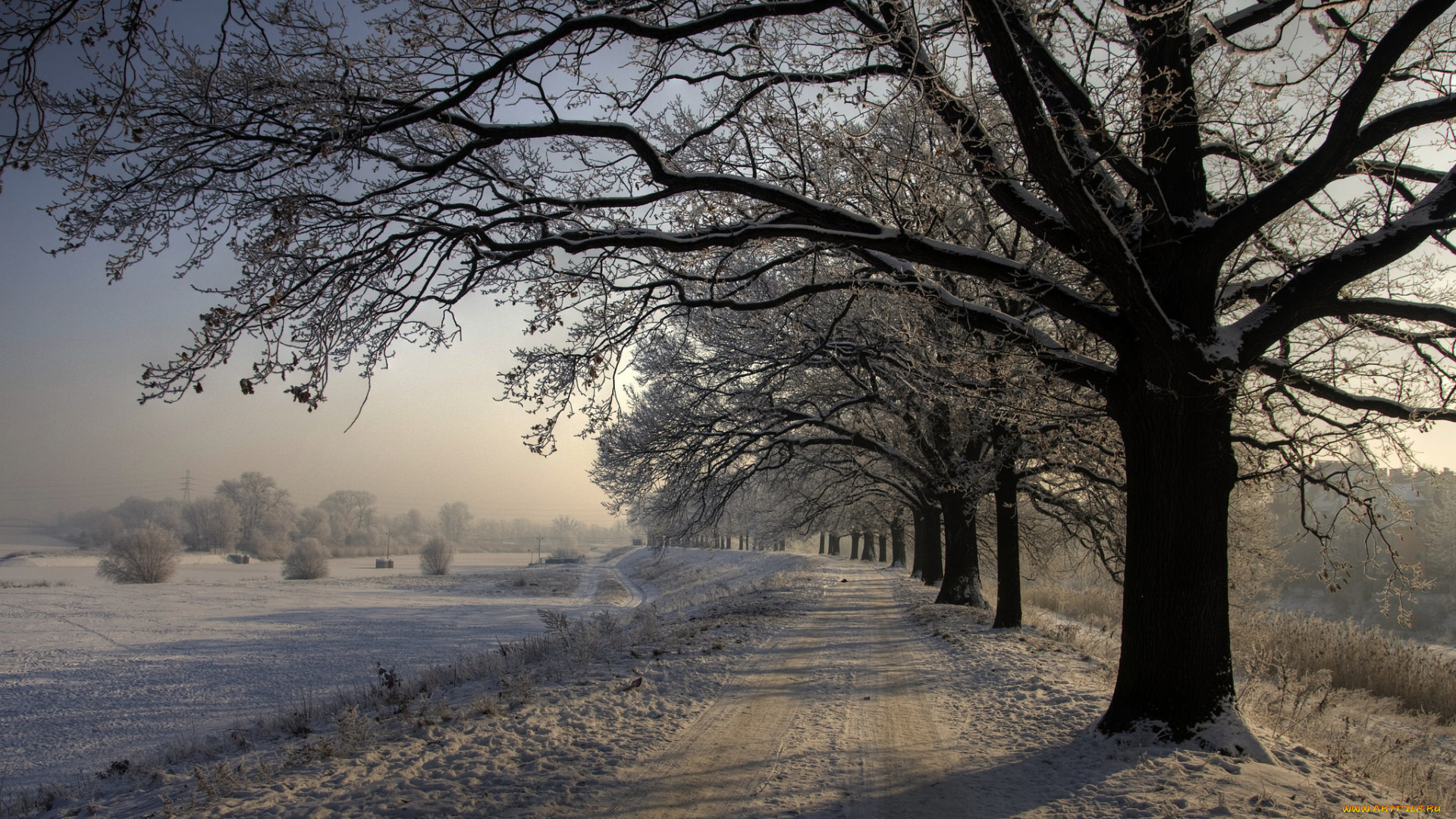 природа, зима, простор