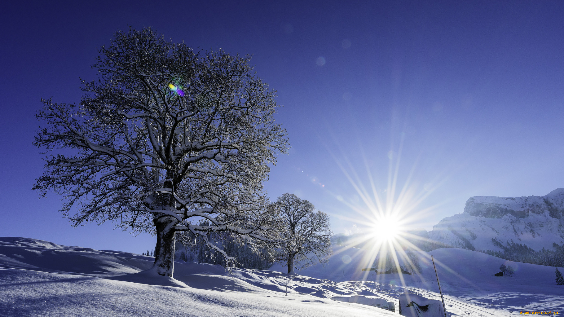 природа, зима, простор