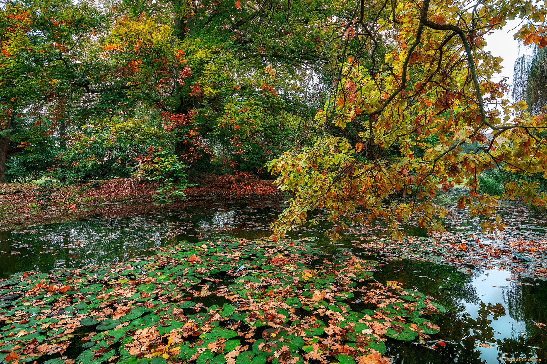 природа, реки, озера, простор