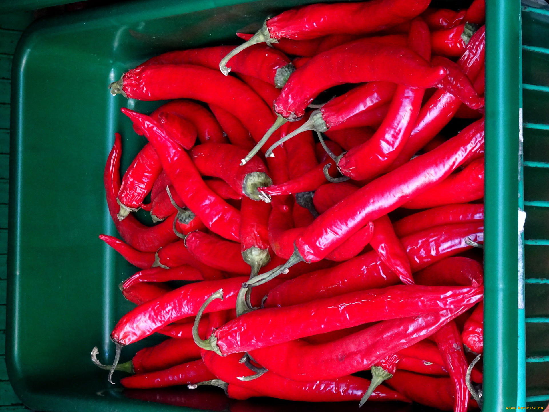 еда, перец, острый, чили