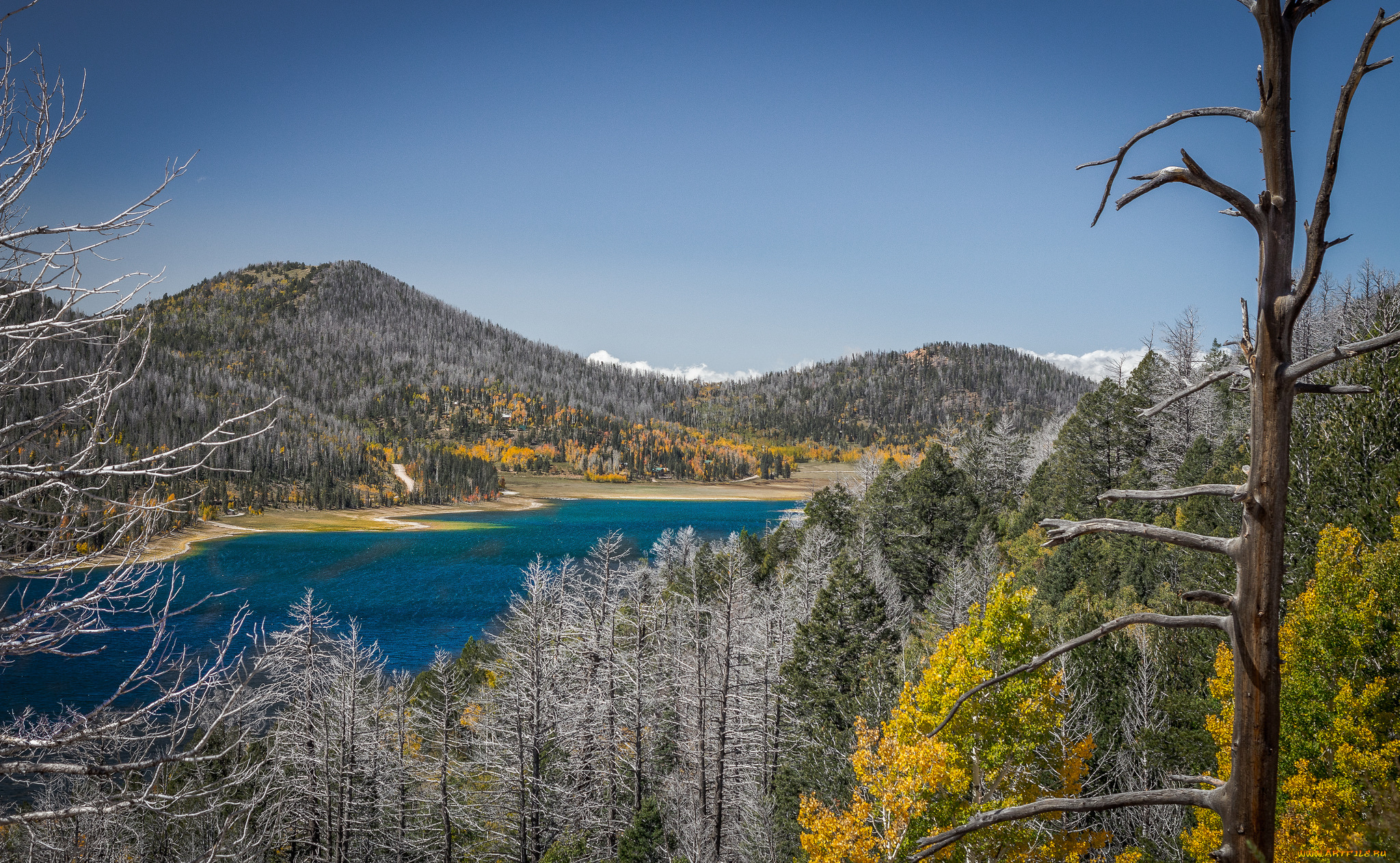 природа, реки, озера, простор