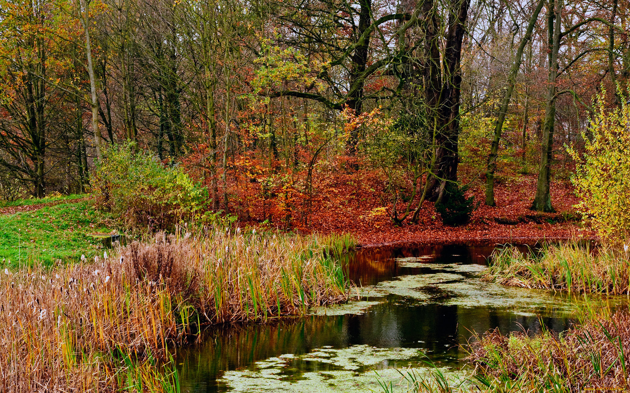 природа, реки, озера, простор