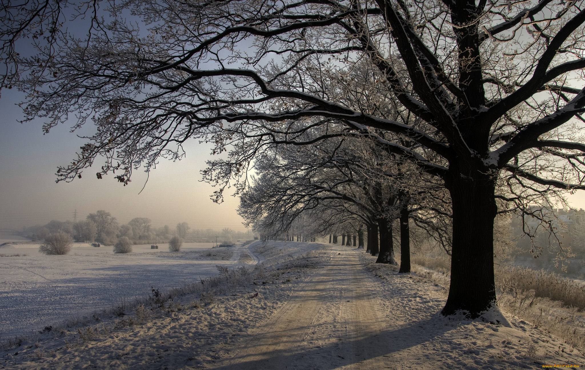 природа, зима, простор