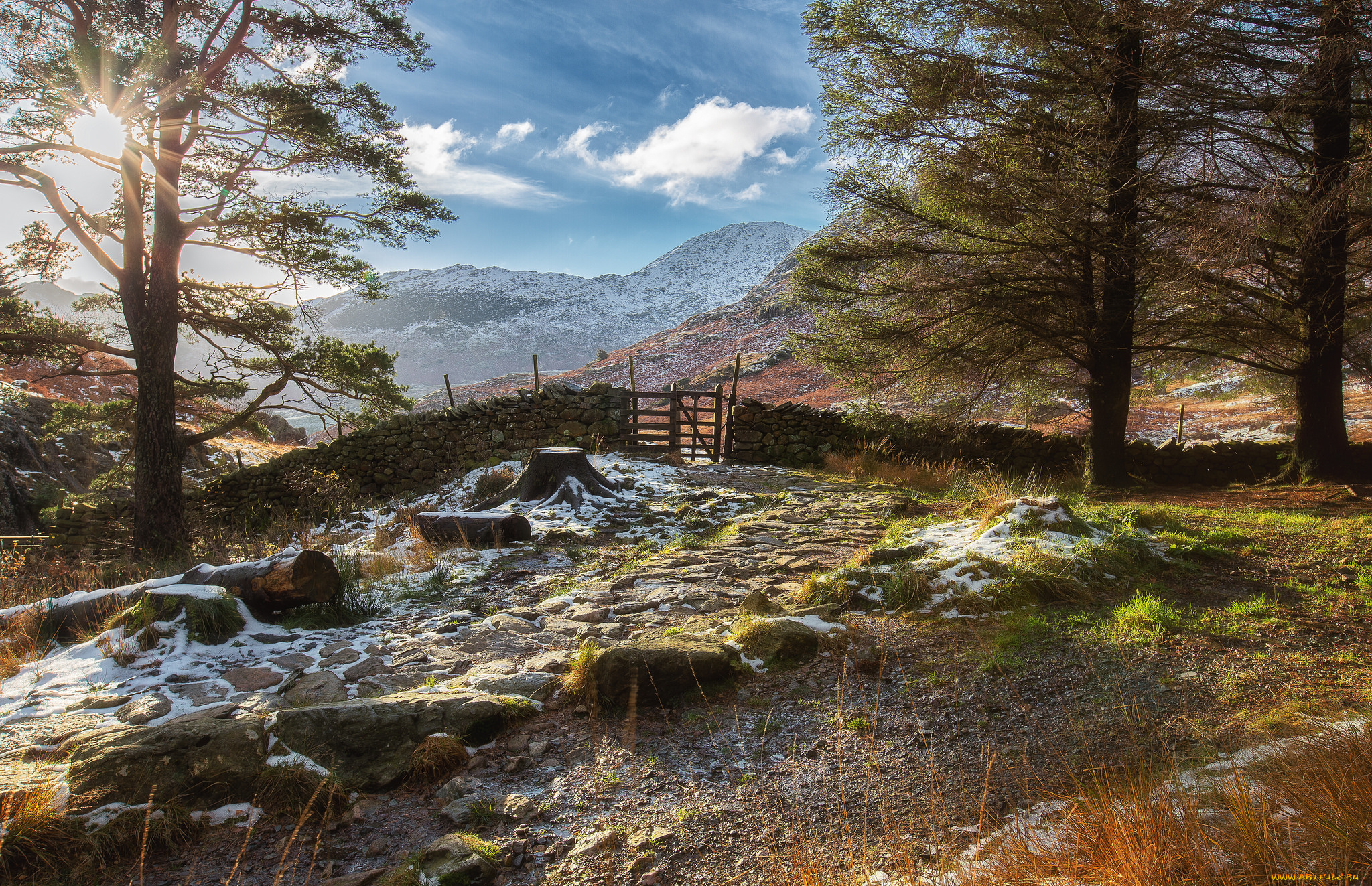 природа, пейзажи, простор