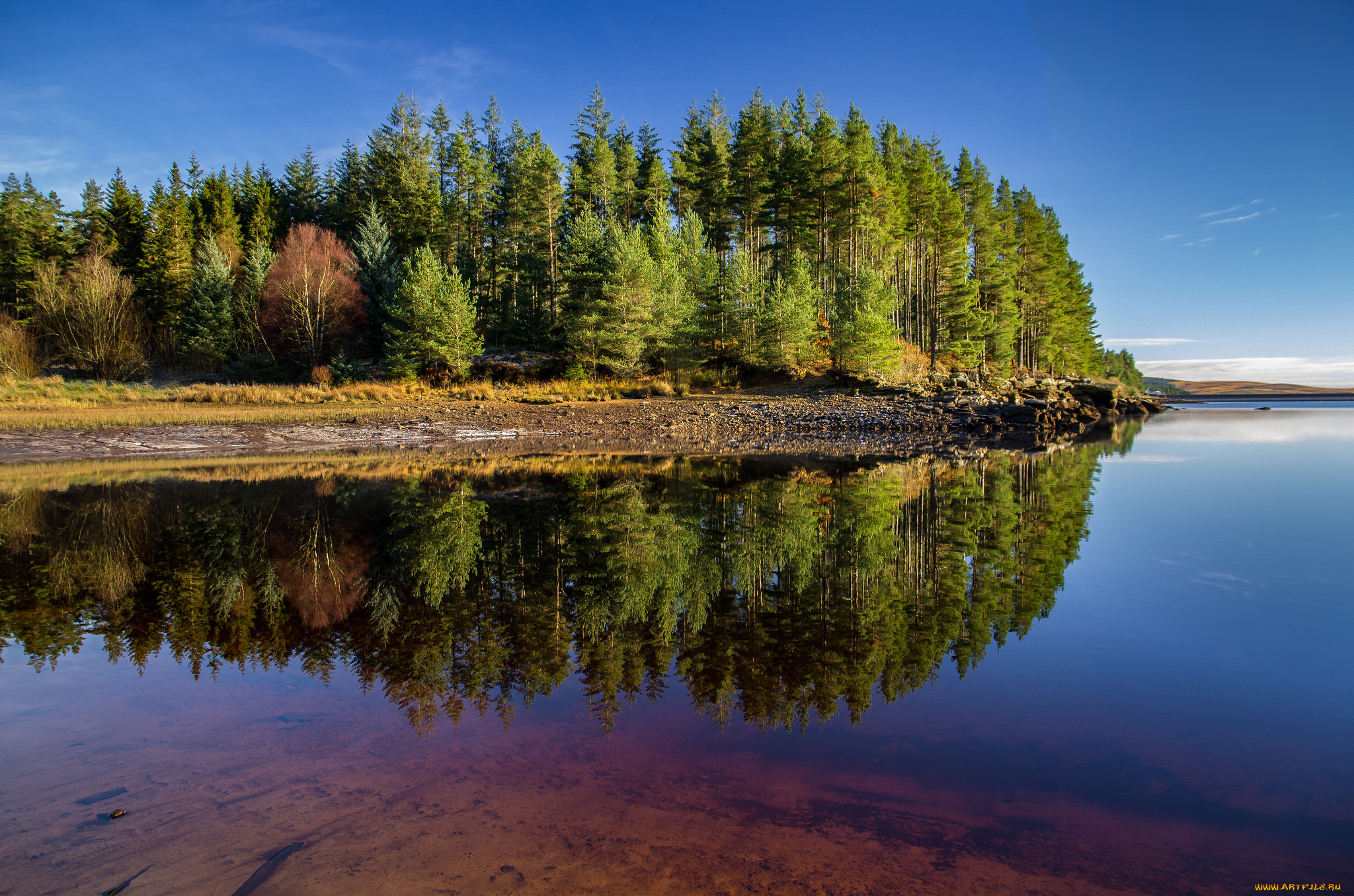 природа, реки, озера, простор