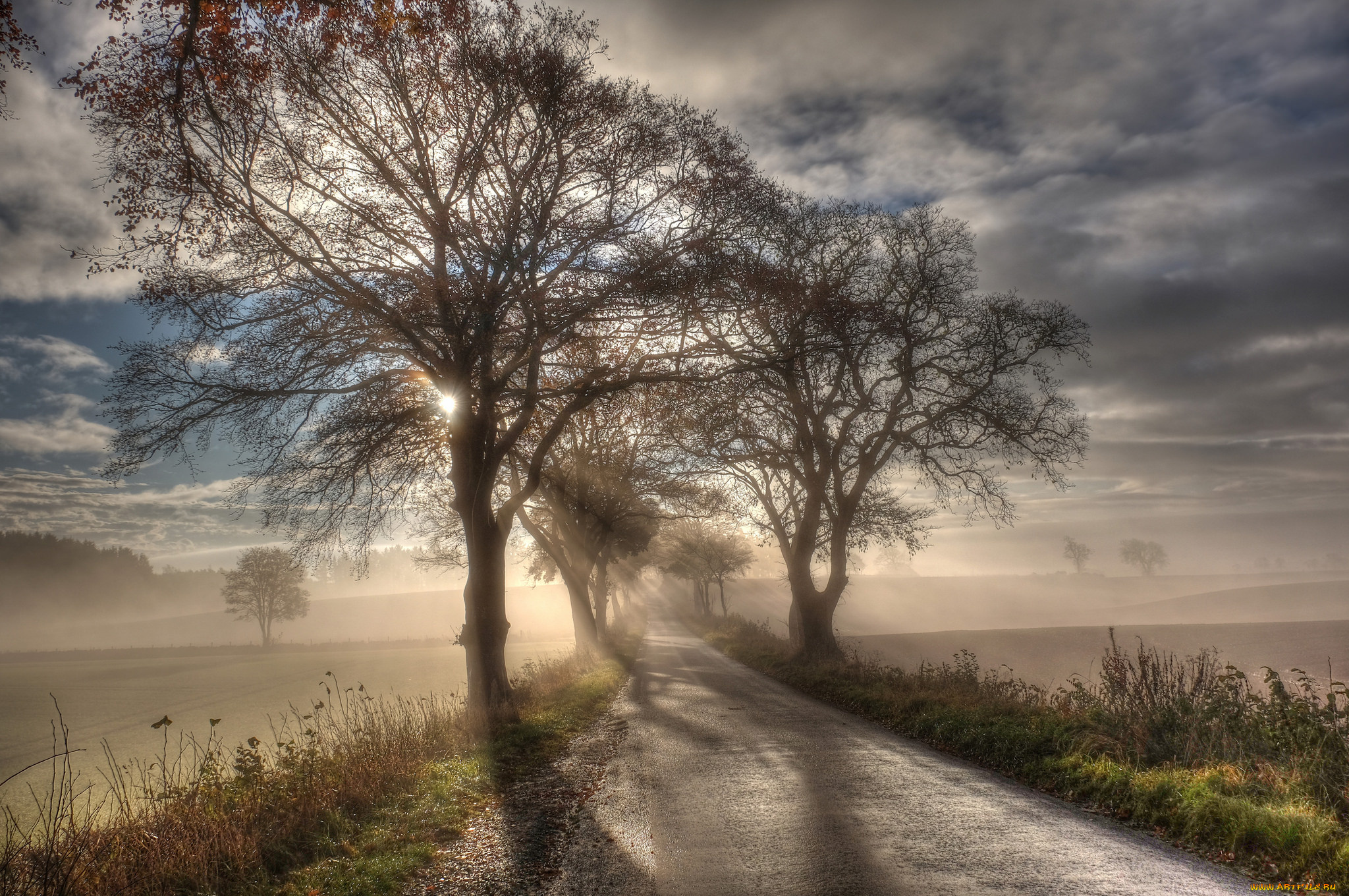 природа, дороги, простор