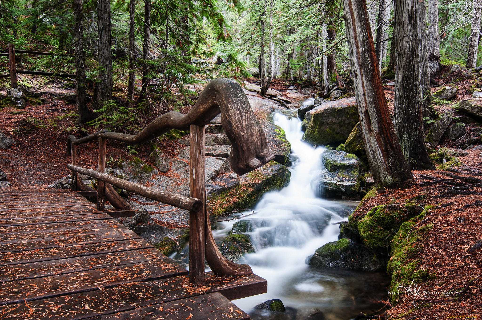 природа, реки, озера, простор