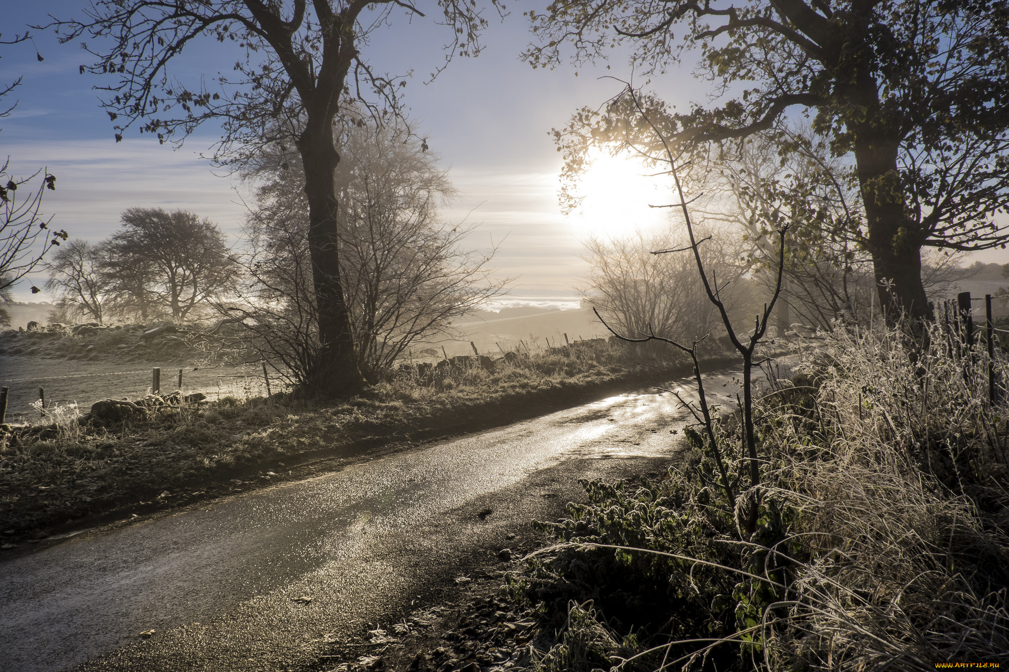 природа, дороги, простор