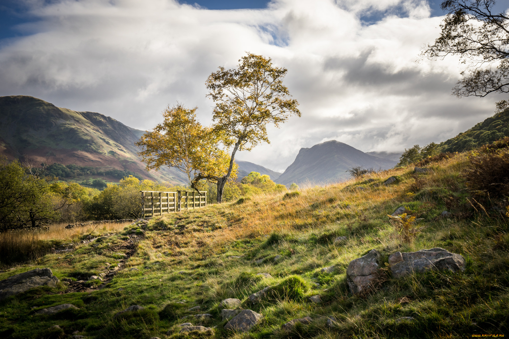 природа, пейзажи, простор