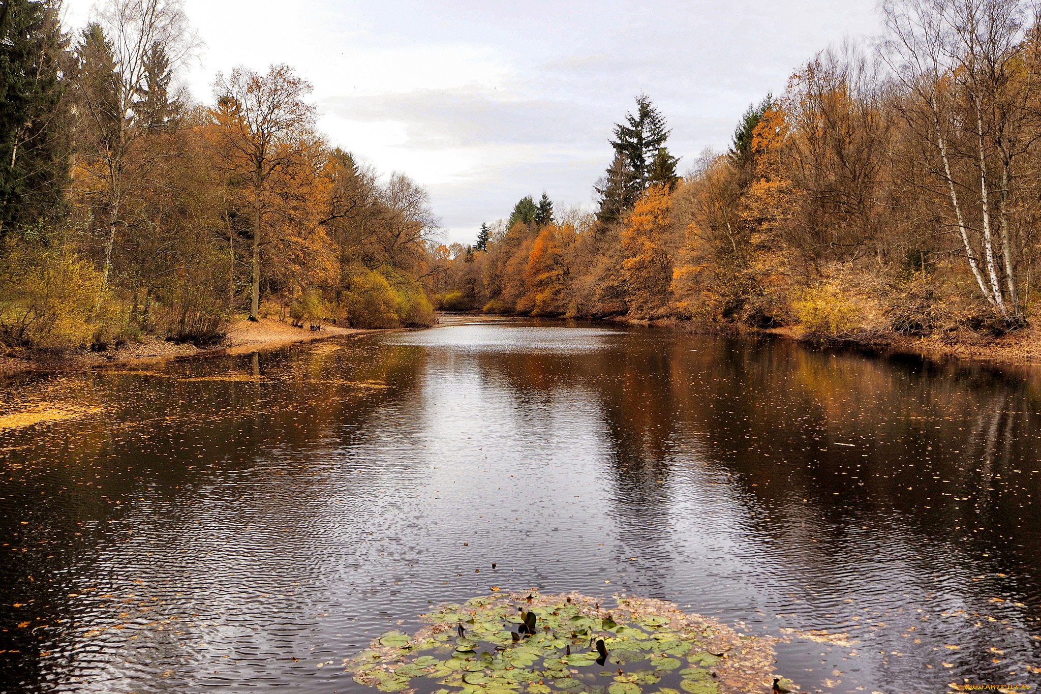 природа, реки, озера, простор