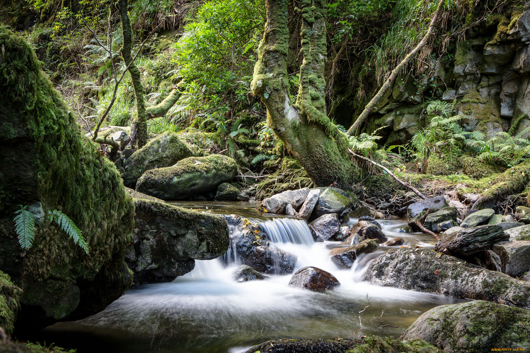 природа, реки, озера, простор