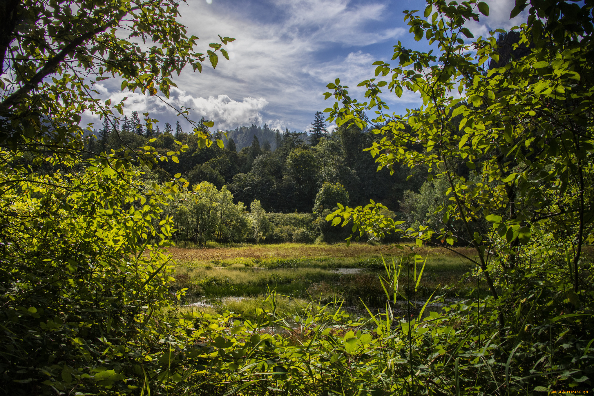 природа, пейзажи, простор