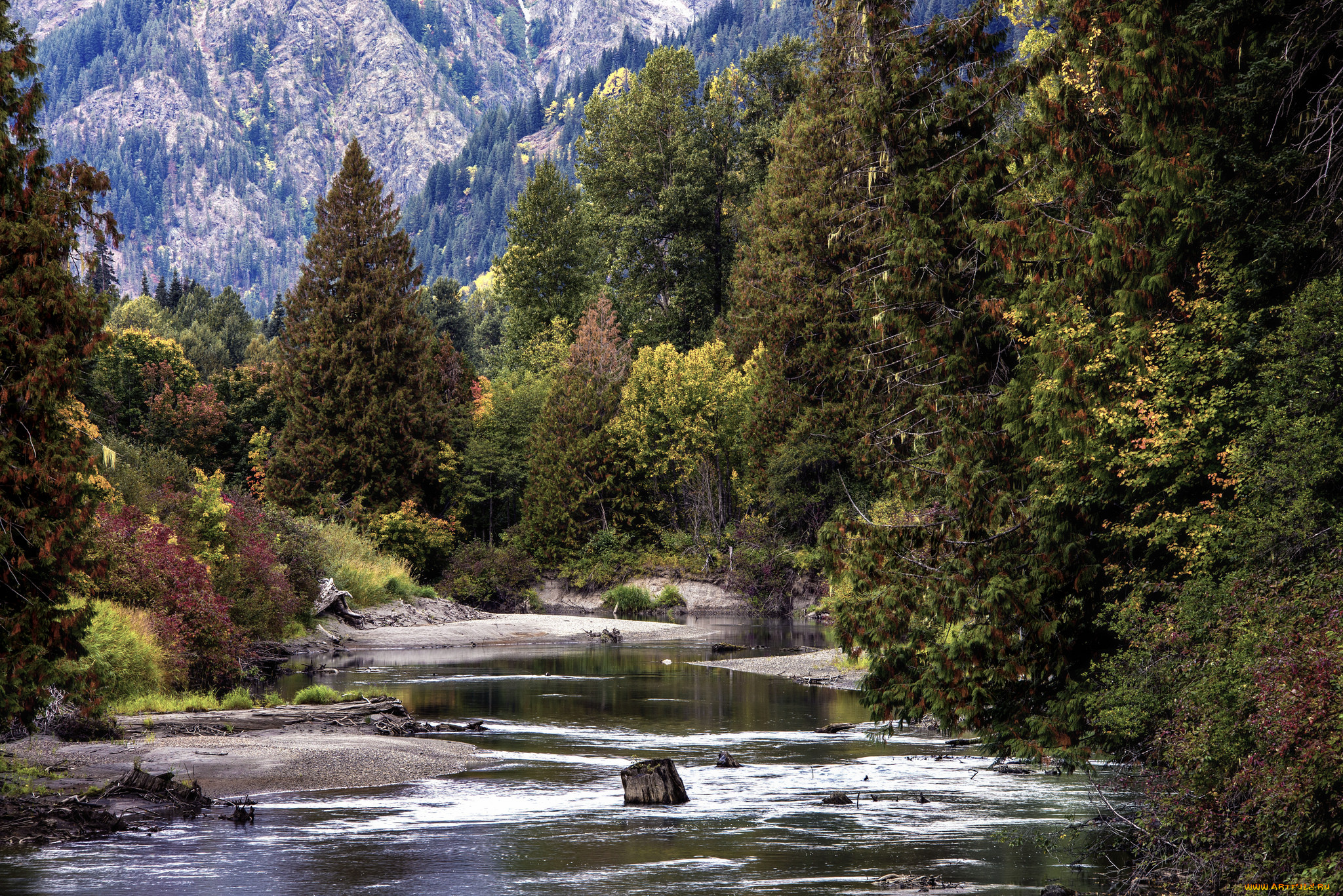 природа, реки, озера, простор