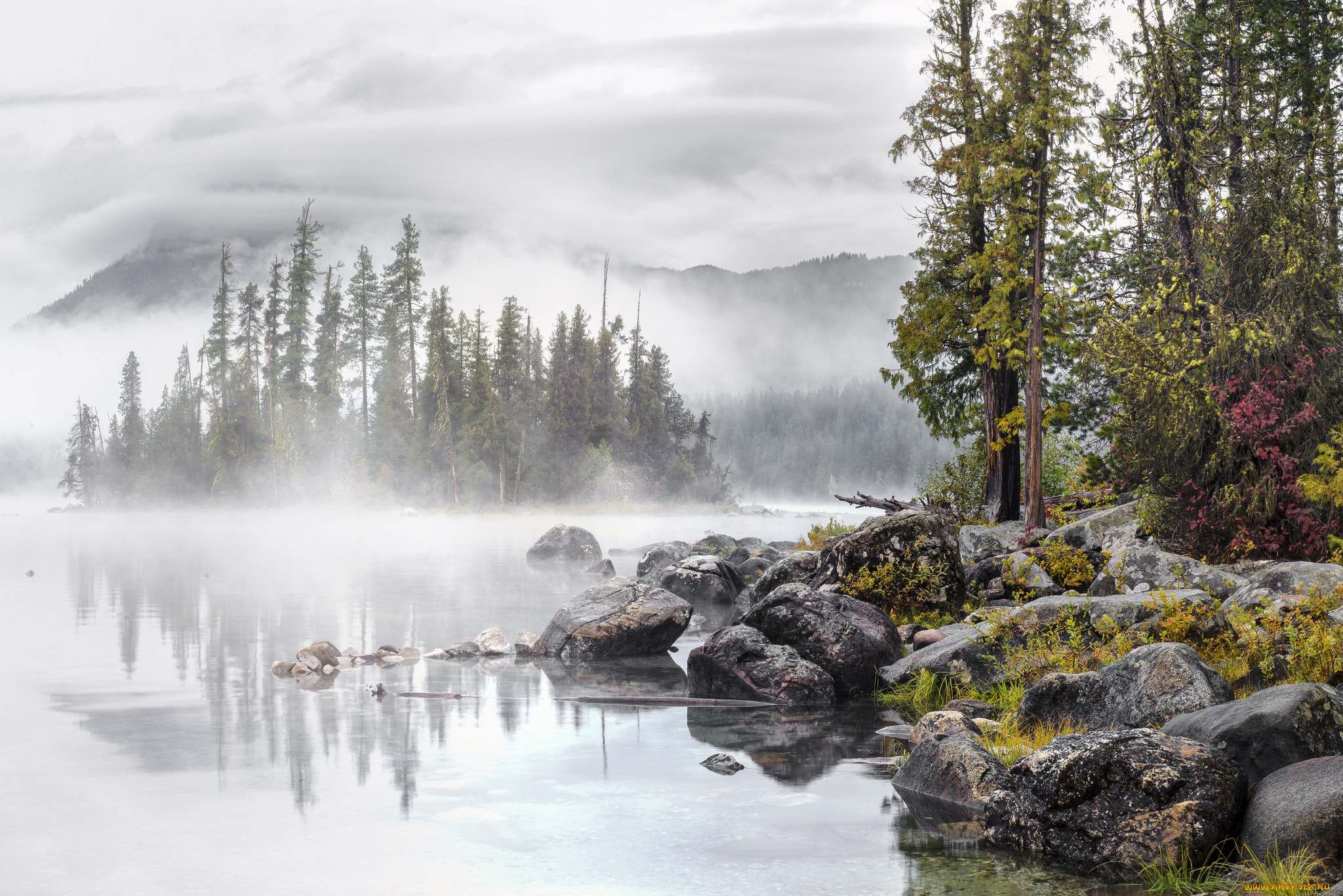 природа, реки, озера, простор