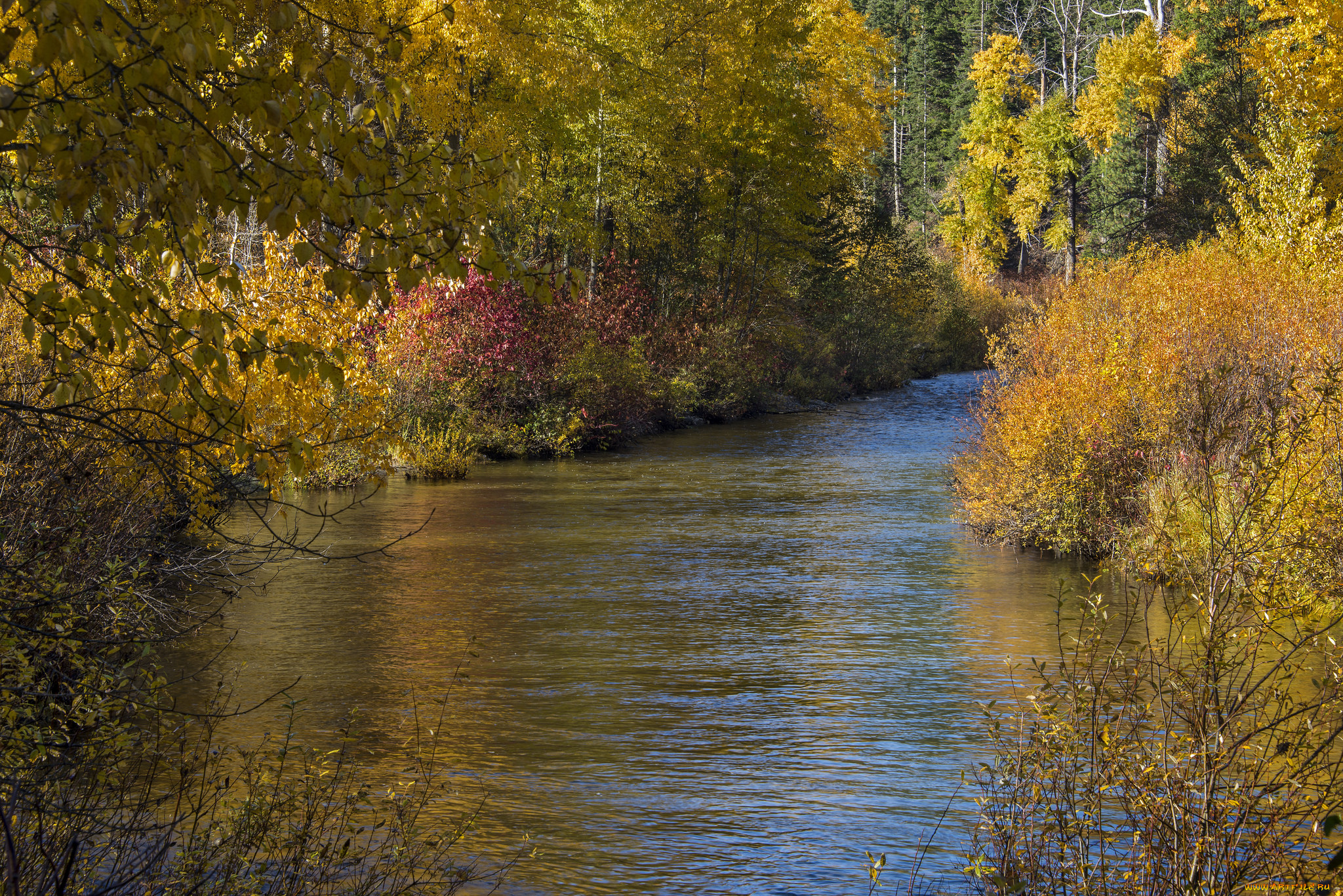 природа, реки, озера, простор