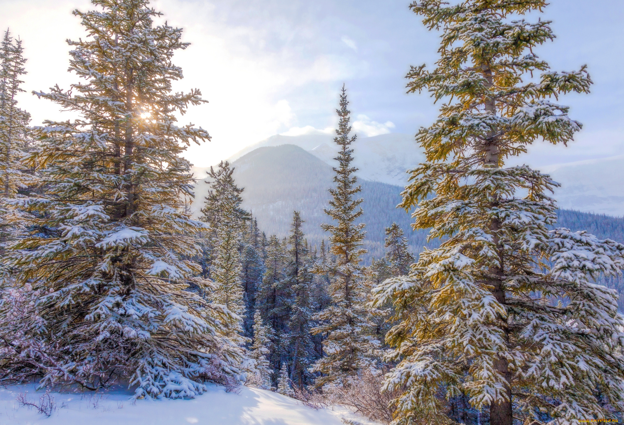 природа, зима, простор