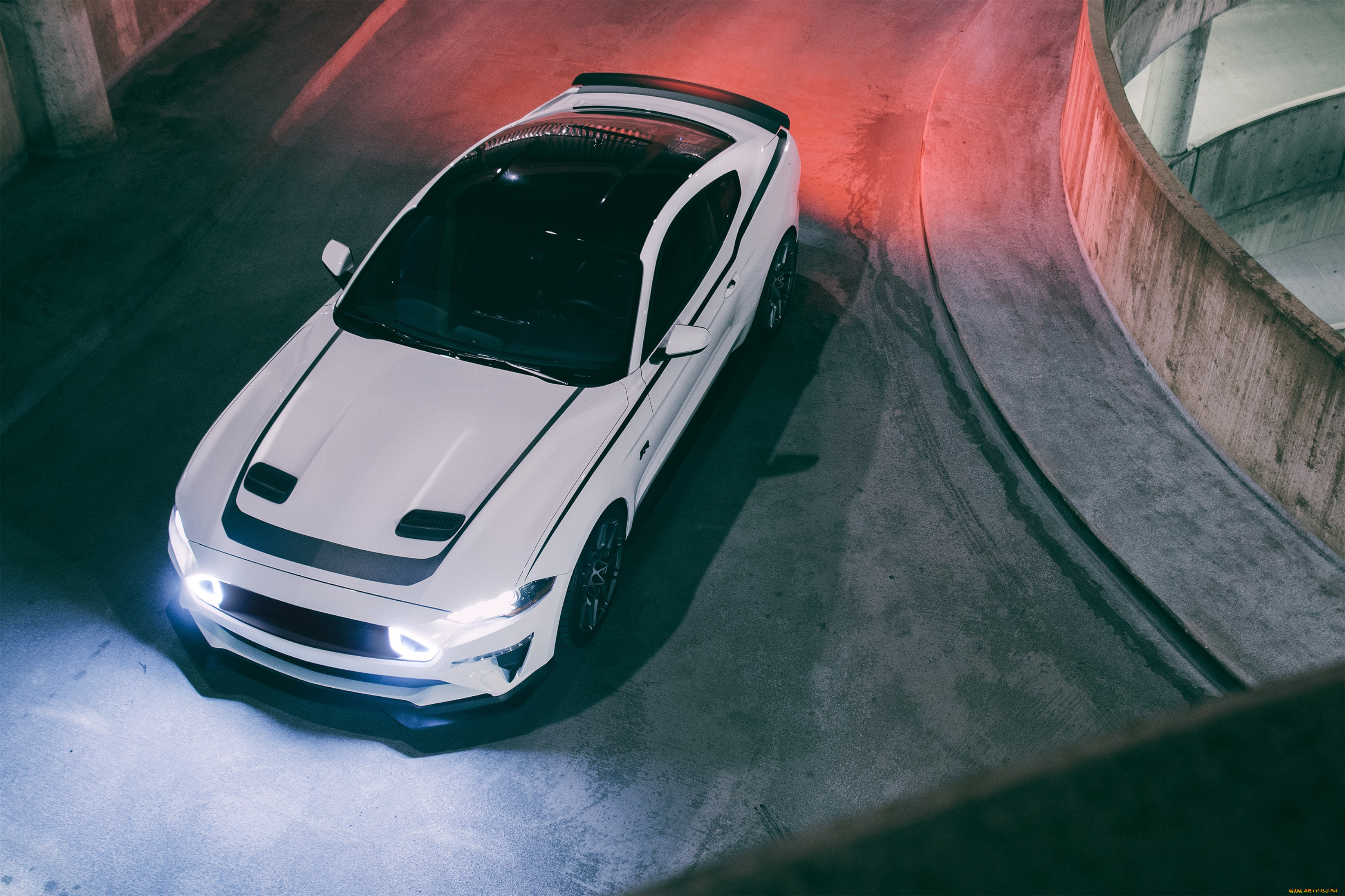 автомобили, mustang