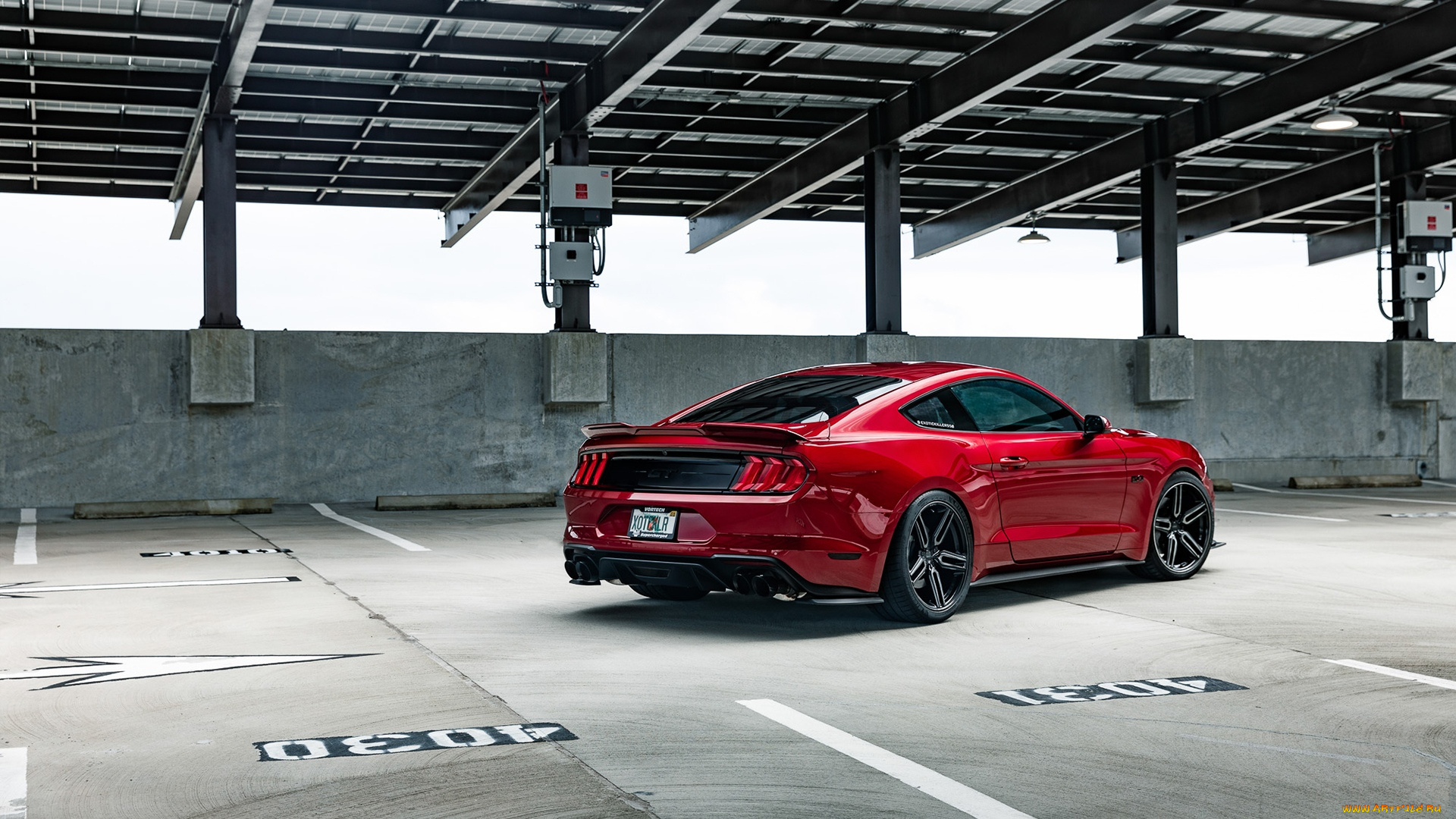 автомобили, mustang, ford, gt