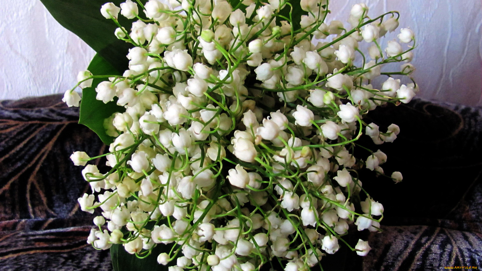 цветы, ландыши, белый