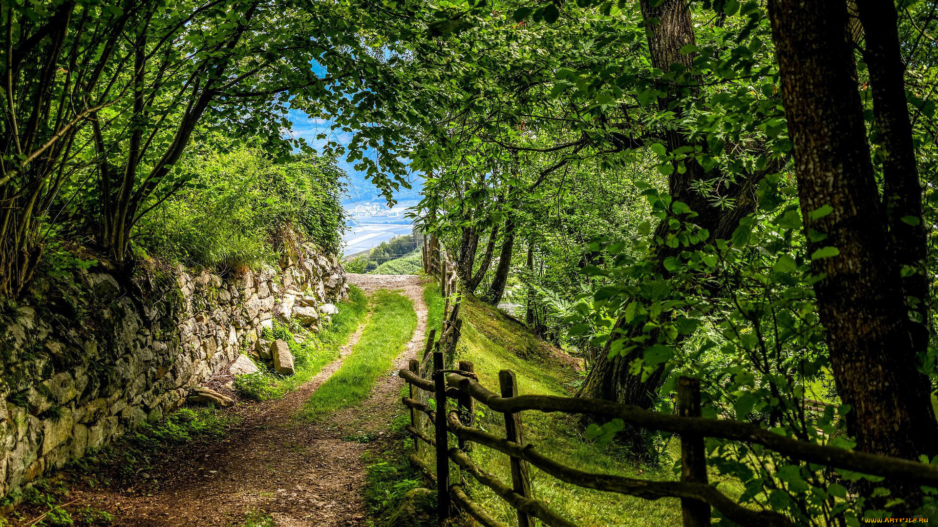 природа, дороги, дорога, забор, деревья