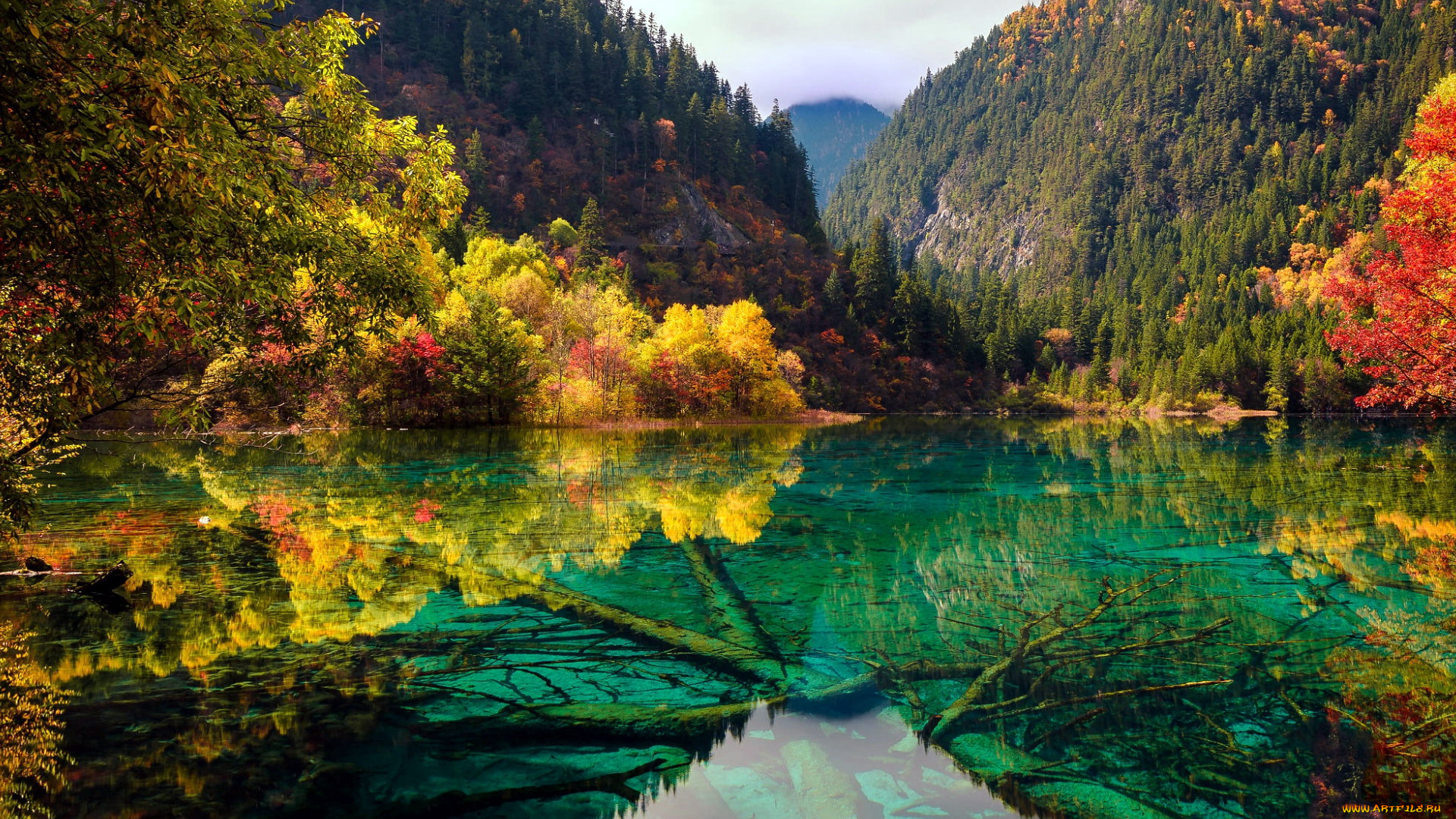 природа, реки, озера, река, деревья, осень